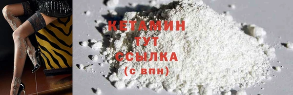 прущие грибы Абдулино