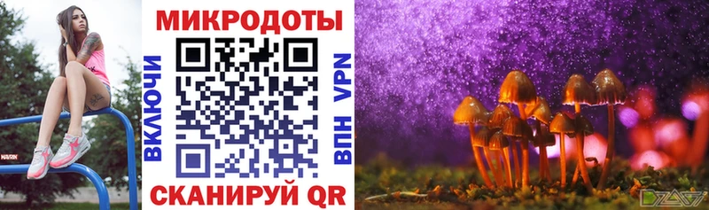 Галлюциногенные грибы мухоморы  Белоозёрский 