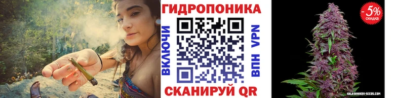 Бошки Шишки план  Белоозёрский 